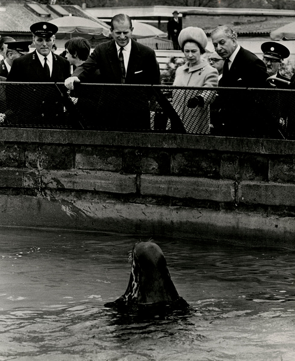 Queen Elizabeth & Prince Philip, London Zoo, 16. Mai 1967 | OstLicht Vintage Photo Sale